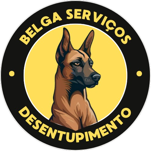 Belga Serviços Logo